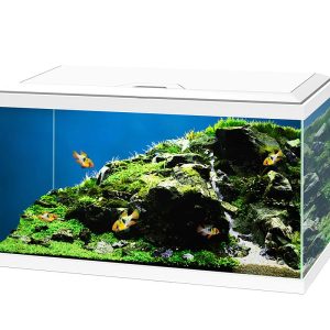Ciano Aqua 60 LED Aquarium in White