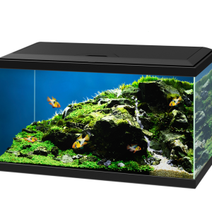 Ciano Aqua 60 LED Aquarium in Black