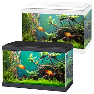 Ciano Aqua 20 LED Aquariums