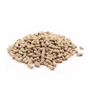 The Koi Pool Wheatgerm Winter Sticks 1KG
